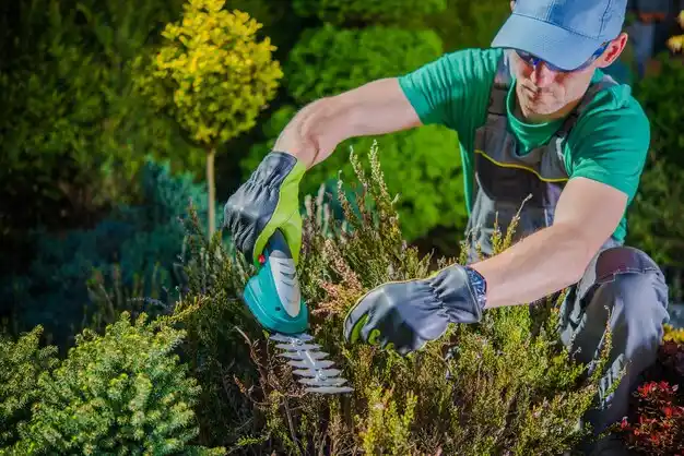 landscaping services Turkey Creek